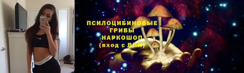 цены   Ардатов  Псилоцибиновые грибы Cubensis 